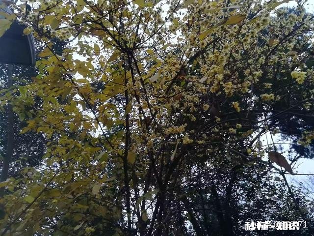 世界浮躁，有多少人喜欢独处独处有什么好处