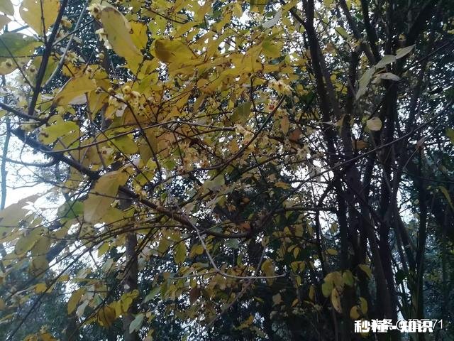 世界浮躁，有多少人喜欢独处独处有什么好处