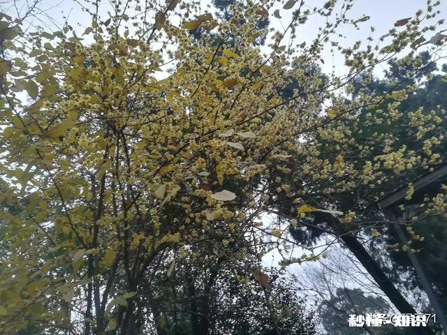 世界浮躁，有多少人喜欢独处独处有什么好处