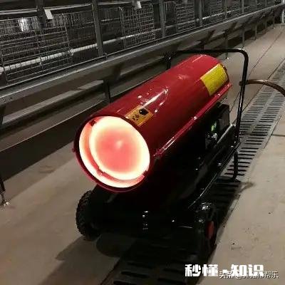 如何加强冬季能繁母猪管理