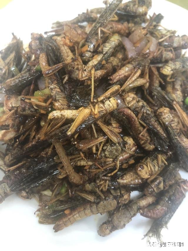 事发青岛104路车，一男子身体不适突晕倒，众人紧急救助, 你怎么看