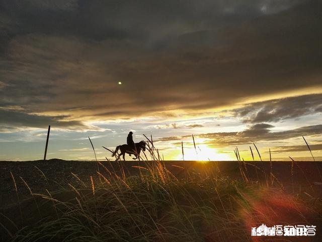 对于我来说，相机是用来拍照。单反和微单之间的选择，取决于性能和价格比吗