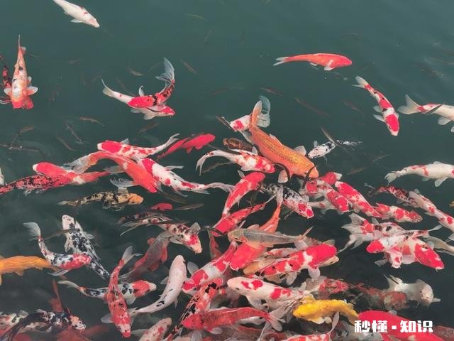 你觉得今年是创业好时机吗，你怎么看