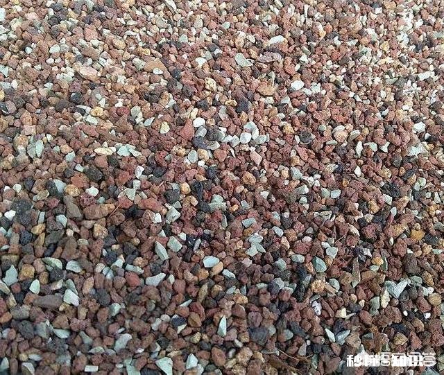 买的多肉颗粒要掺土吗掺养花的土可以吗