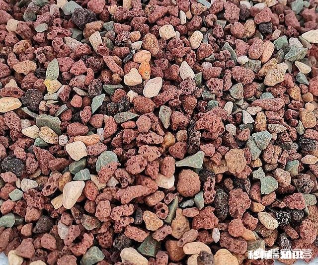 买的多肉颗粒要掺土吗掺养花的土可以吗