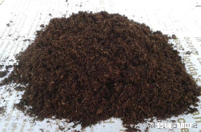 买的多肉颗粒要掺土吗掺养花的土可以吗