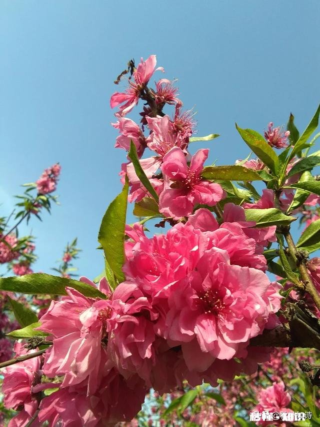 把力所能及的事做到极致，就是人生价值，活得就有尊严，认同吗