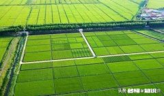 功能农业是否有市场