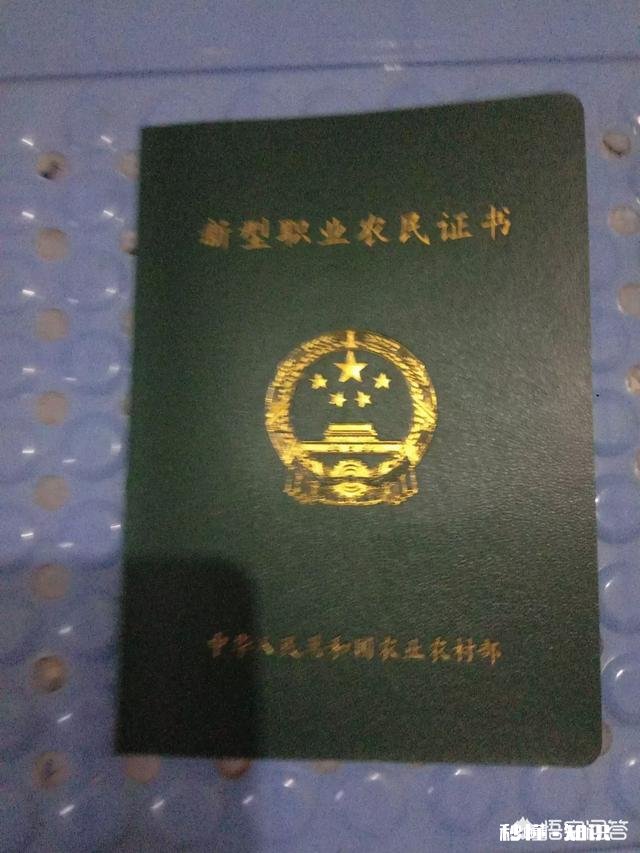 农村土地确权的具体政策与法规是什么