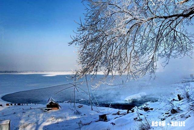 被异性喜欢且表白你的第一反应是什么