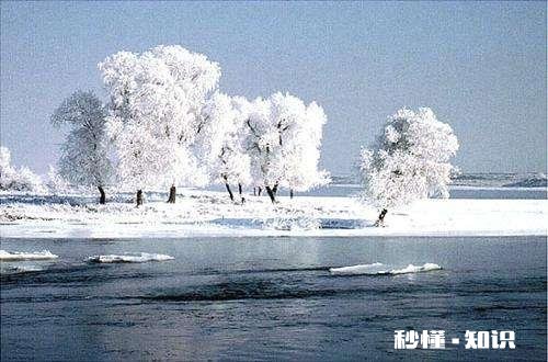 被异性喜欢且表白你的第一反应是什么