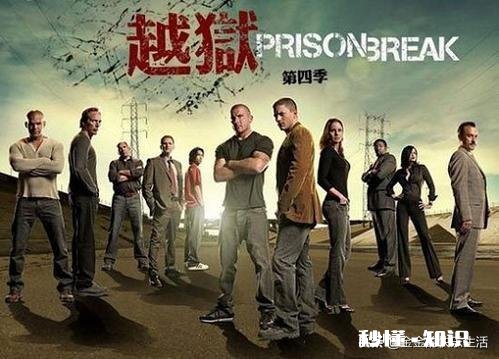 为什么很多人都喜欢看评论区