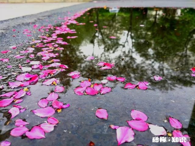 为什么很多人都喜欢看评论区