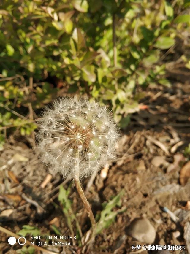 如果被家暴了是立马离婚还是继续忍受，说不定会悔改