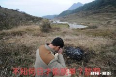 您家是哪个村的，你们村里有多少大龄剩男，我们村有二十几个