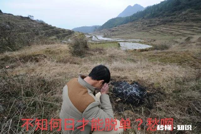 您家是哪个村的，你们村里有多少大龄剩男，我们村有二十几个