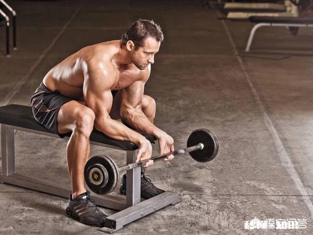 手臂需要专门进行锻炼吗，有什么锻炼方法