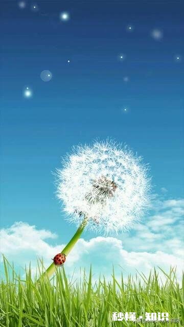 你觉得结婚证束缚了什么又意味着什么