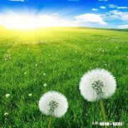 你觉得结婚证束缚了什么又意味着什么