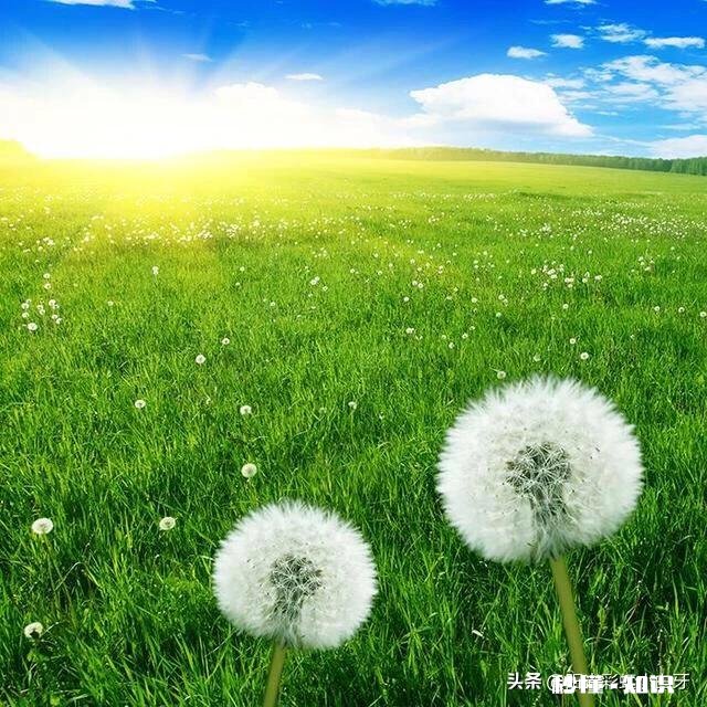 你觉得结婚证束缚了什么又意味着什么