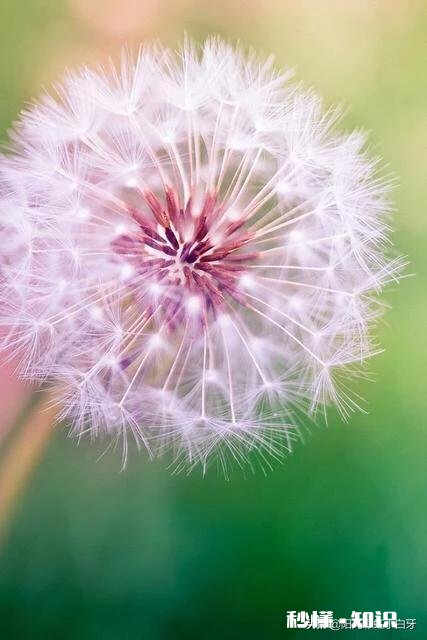 你觉得结婚证束缚了什么又意味着什么