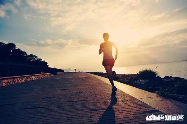 在跑步机上跑步好一些，还是在户外跑步好一些