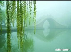 在备考期间被邻居小孩吵，怎么办