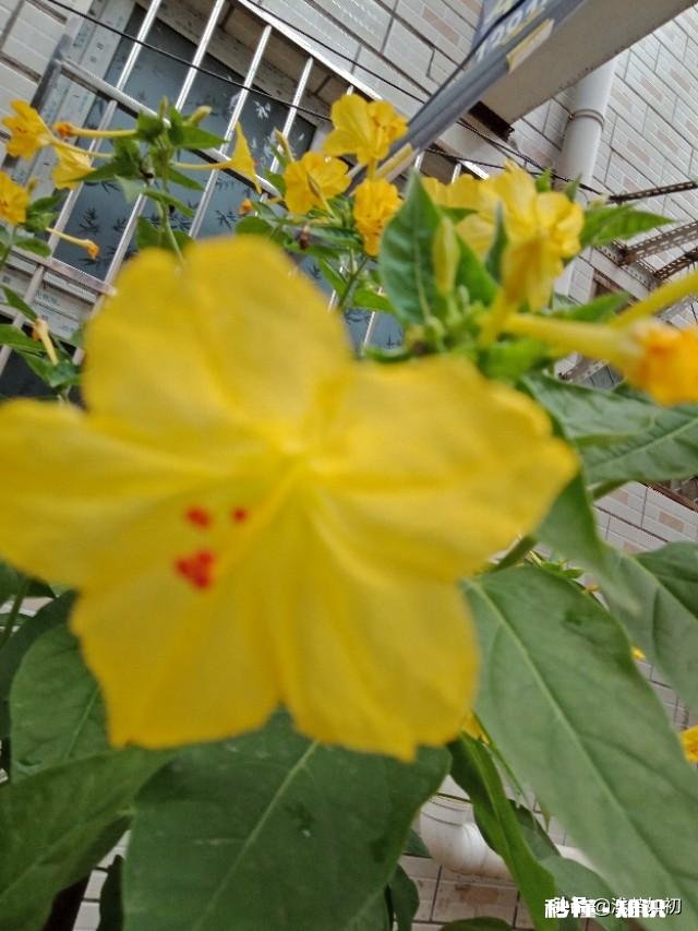 对方习惯性的撩人，反而自己却深陷了怎么办