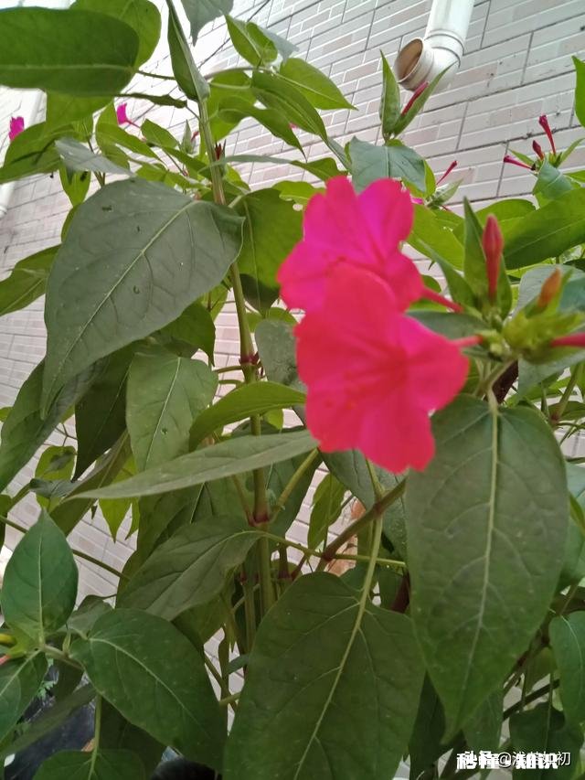 对方习惯性的撩人，反而自己却深陷了怎么办