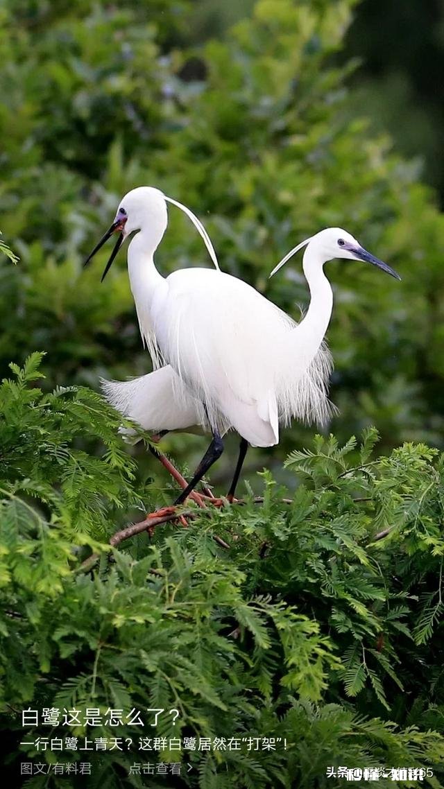 怎么才能让家人理解自己