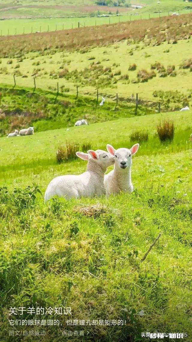 怎么才能让家人理解自己