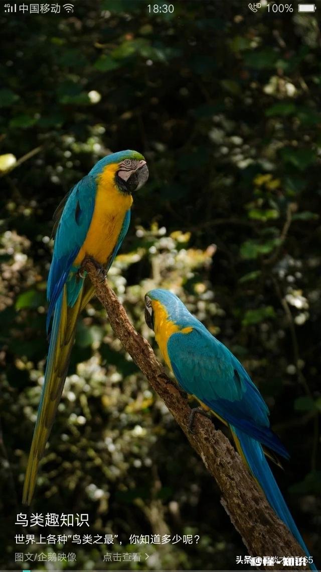 怎么才能让家人理解自己