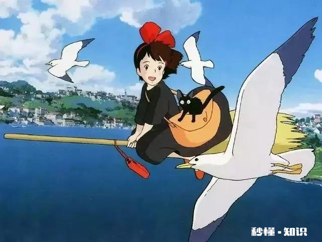 二次元亦可 有什么电影让你懂得了遗憾