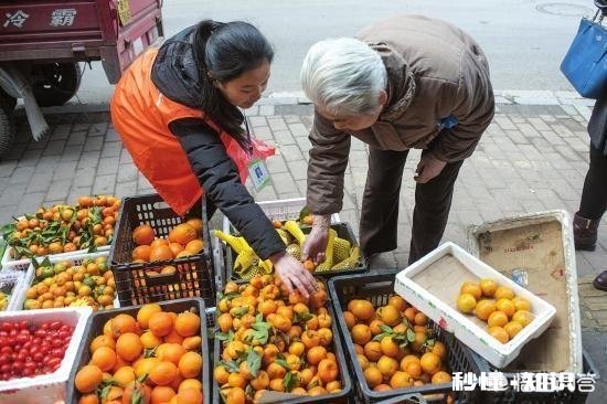 春节前有什么生意可做