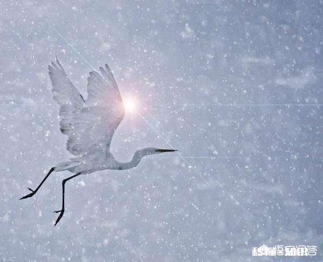 为什么有时晴天会下雪