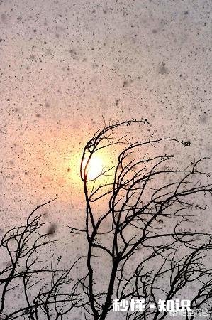 为什么有时晴天会下雪