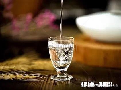 酒里泡茶可以吗