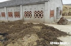 鸡粪能当煤烧吗