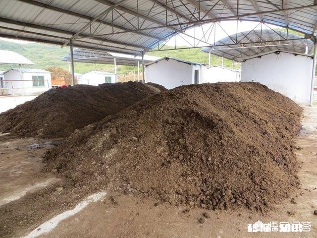 鸡粪能当煤烧吗