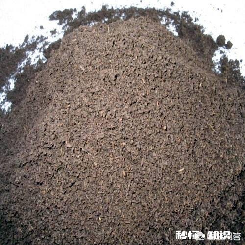 鸡粪能当煤烧吗