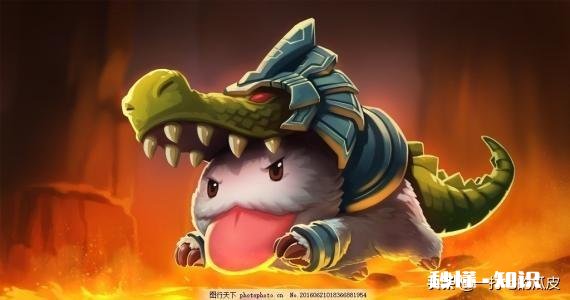 鳄鱼怎么养比较好