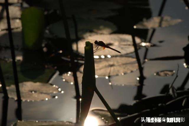 图片怎么修好看些