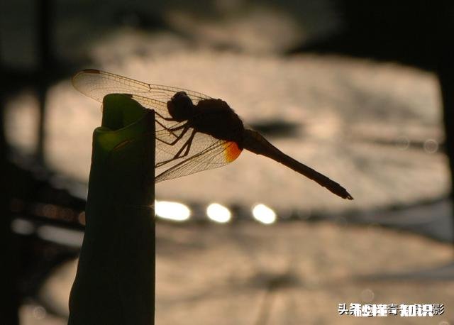 图片怎么修好看些