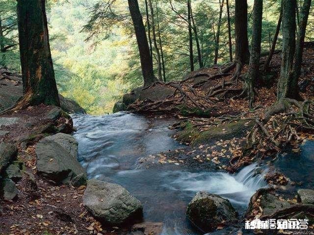 如果婆家让你到娘家借十万元给老公的弟弟做生意，你会怎么做