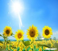 在一段感情中念念不忘的是否都是不如对方的那个