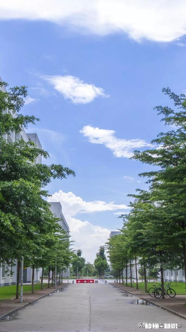 孩子上五年级了英语一塌糊涂，怎么办呢