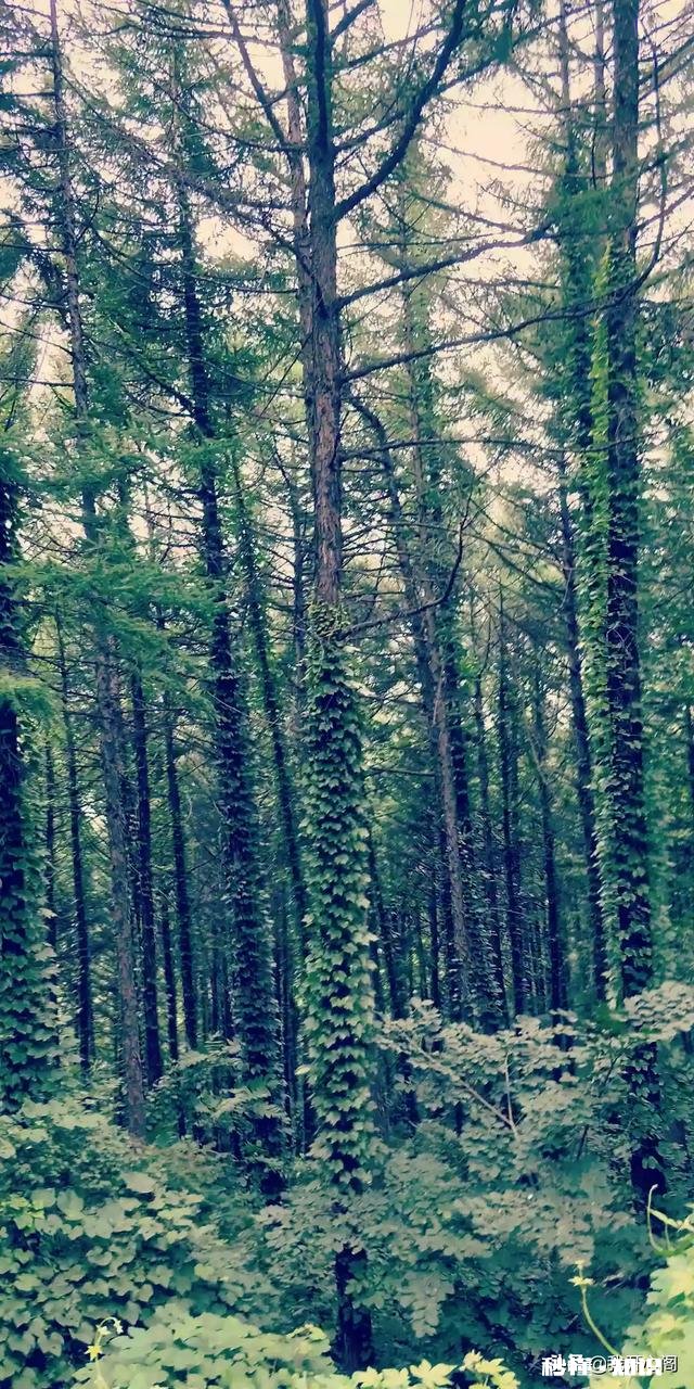 对人或事一直是忍让的，但对方还无休止，你会怎么办