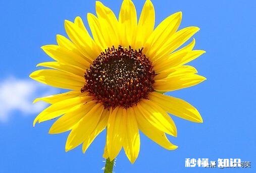 我总有许多话许多想法想告诉别人，只有一个人会正经的回答我，可她是个女的，我该不该总跟她倾诉