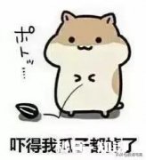 手里只有3W块钱想创业，能做些什么项目