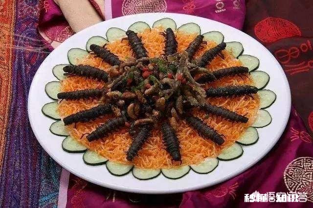 云南人喜欢吃虫子，具体有哪些虫子可以吃呢